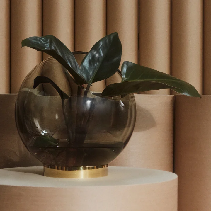 Die Globe Vase von AYTM gefüllt mit großblättrigen Pflanzen
