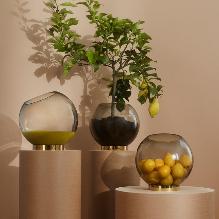 Die Globe Vase von AYTM mit einem Zitronenbäumchen und Früchten befüllt