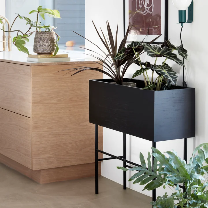 Der Pflanzkasten von Hübsch Interior in der Küche