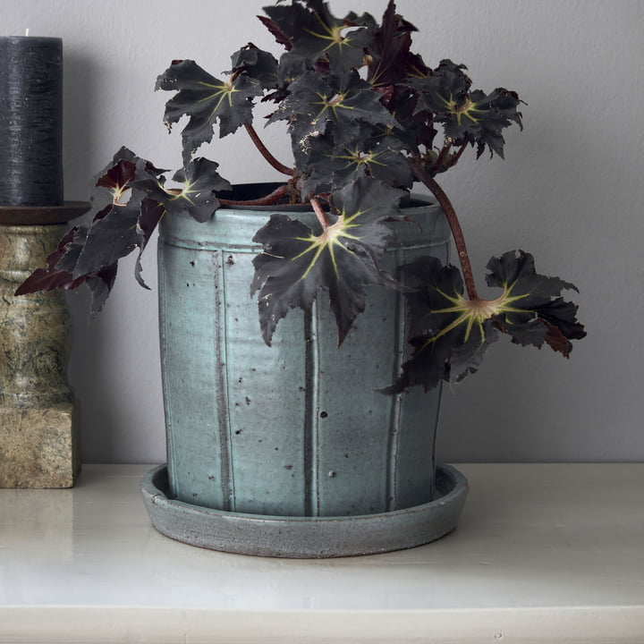 Julian Blumentopf mit Untersetzer von House Doctor Connox