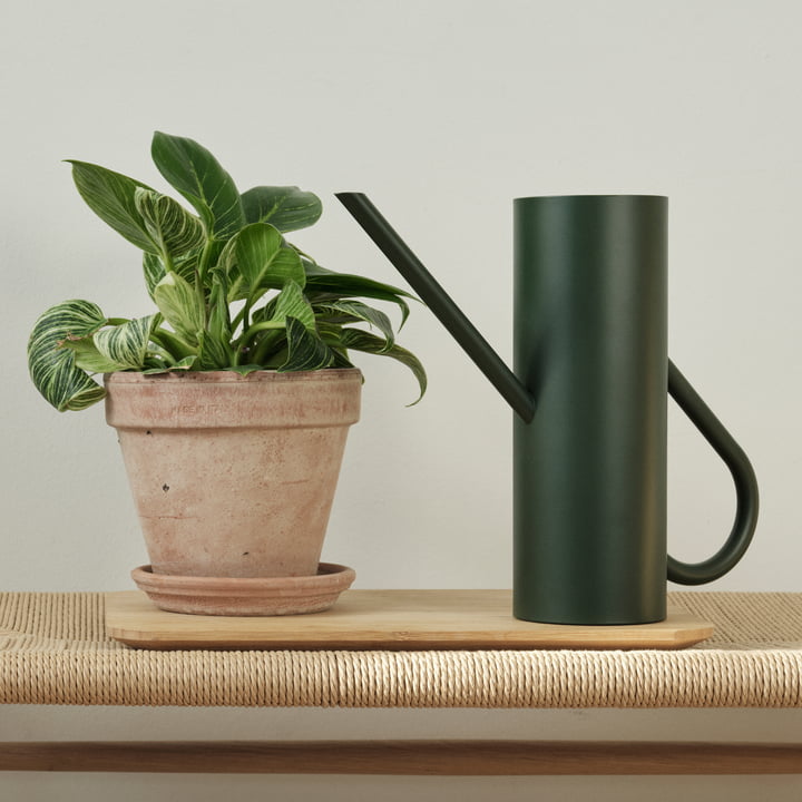 Bloom Gießkanne 2 l in pine von Stelton