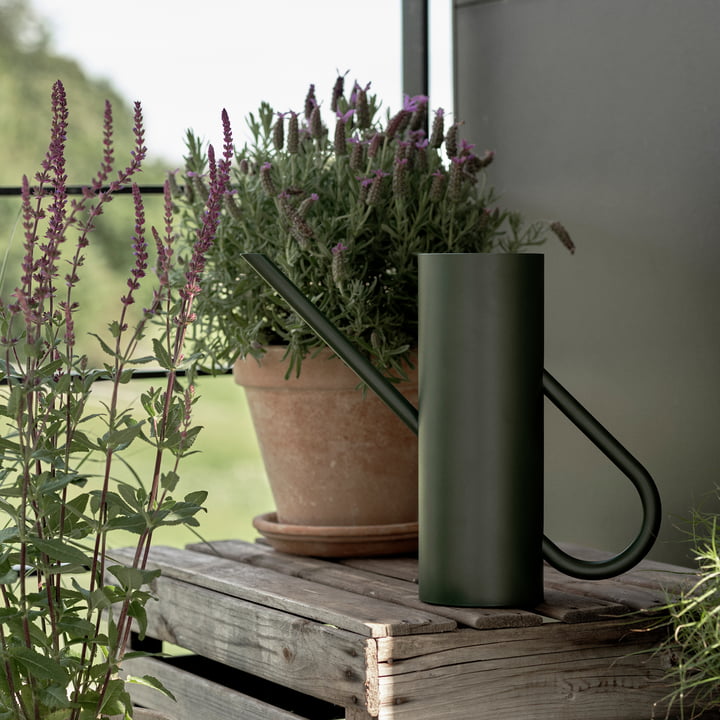 Bloom Gießkanne 2 l in pine von Stelton