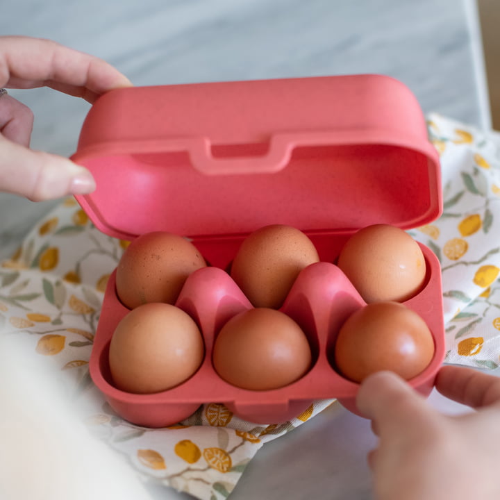 Eggs to go Mehrweg Eierbehälter mini, nature coral von Koziol