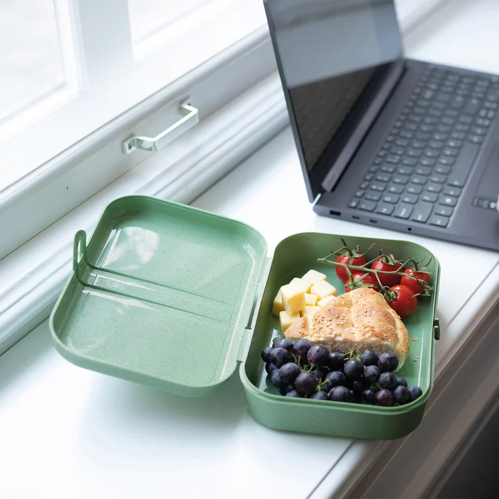 Pascal L Lunchbox mit Trennsteg, nature leaf green von Koziol