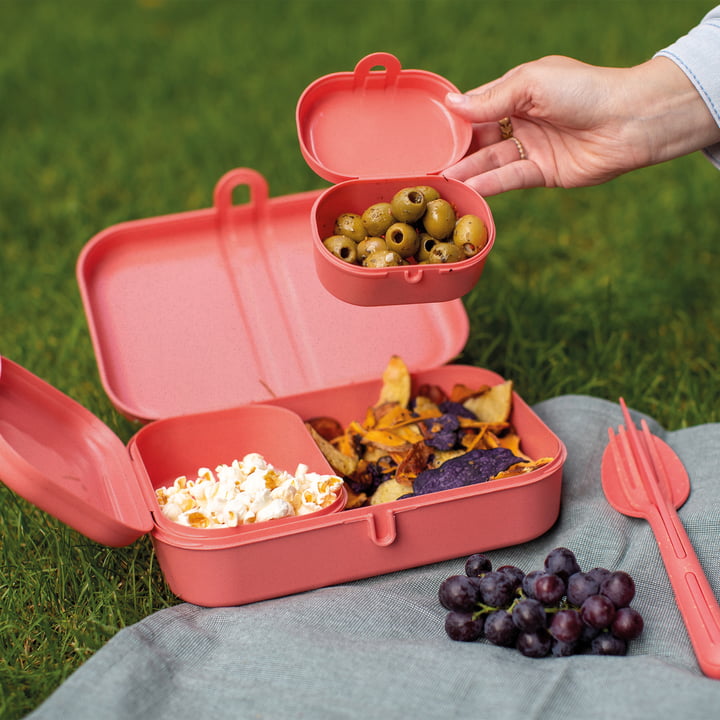 Pascal Ready Lunchbox-Set mit Klikk Besteck, nature coral von Koziol