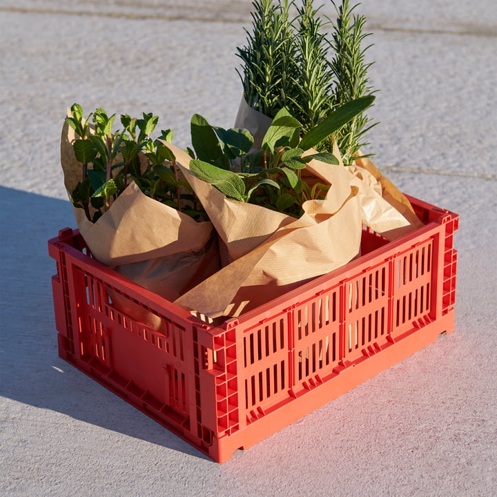 Colour Crate Korb recycled M von Hay in der Farbe red