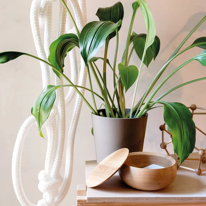 Die Bowl aus dem Hause Schönbuch