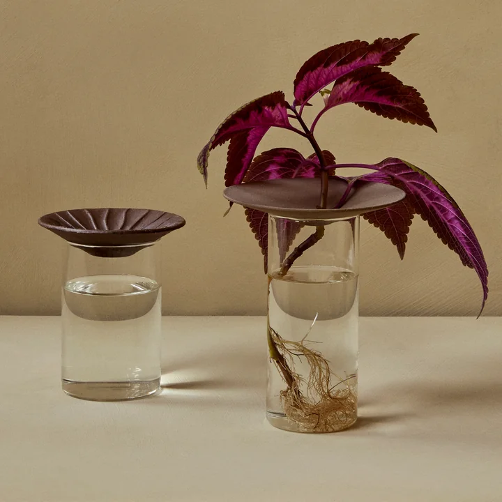 Cresco Propagation Vase (2-er Set), braun / beige von Audo