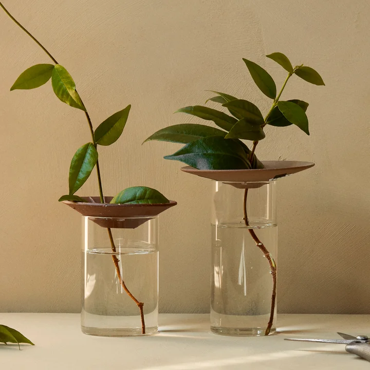 Cresco Propagation Vase (2-er Set), braun / beige von Audo