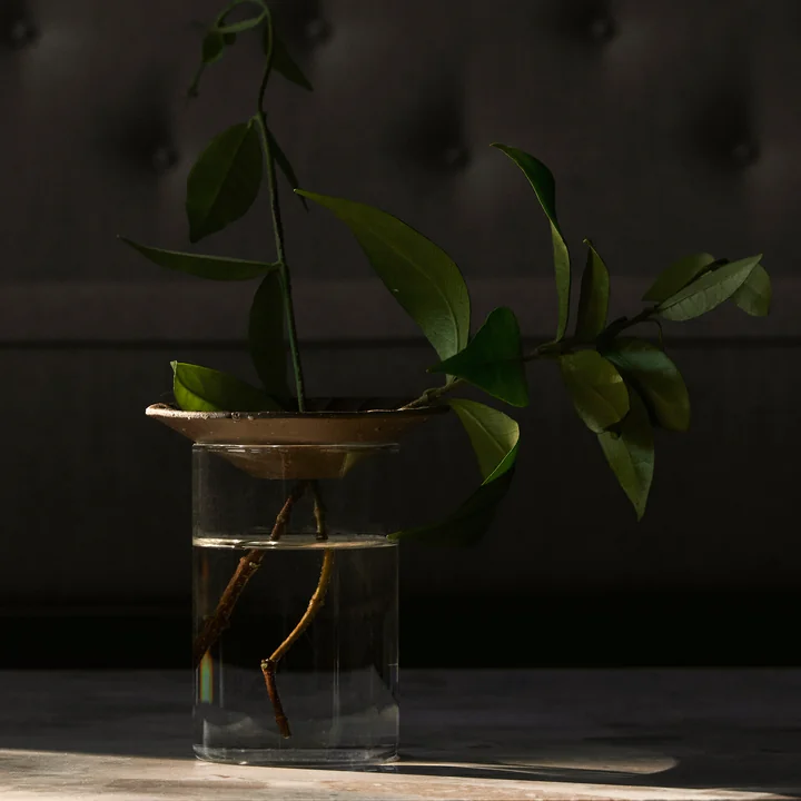 Cresco Propagation Vase (2-er Set), braun / beige von Audo