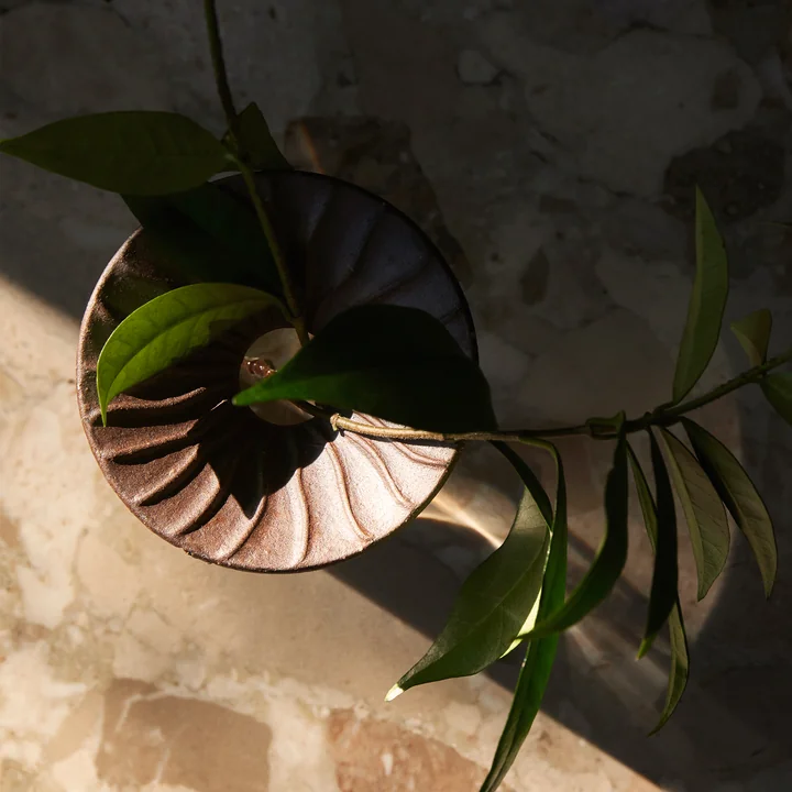 Cresco Propagation Vase (2-er Set), braun / beige von Audo