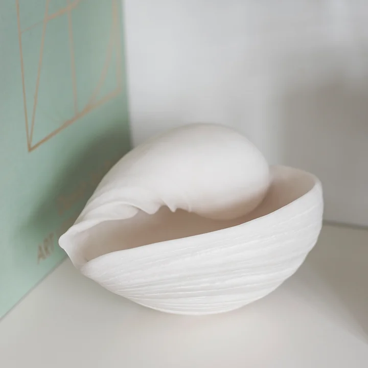 Conch Muscheln von Mette Ditmer