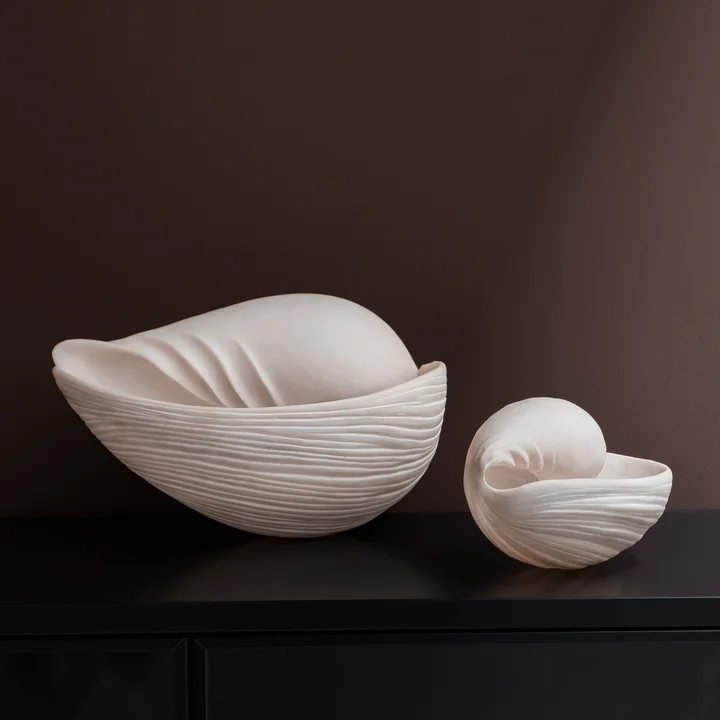 Conch Muscheln von Mette Ditmer