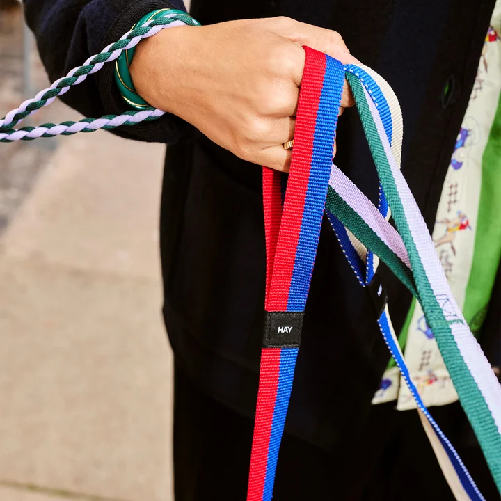 HAY - Dogs Hundeleinen