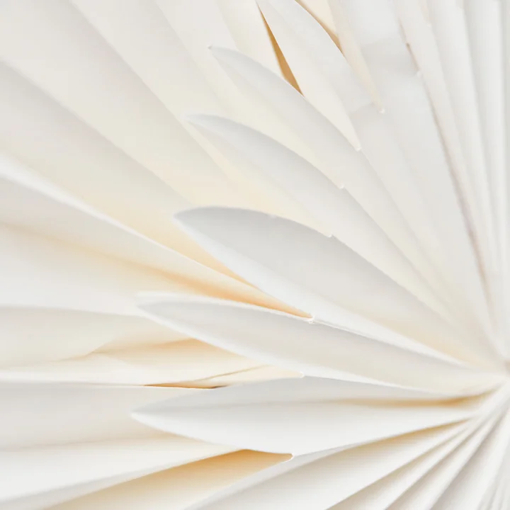 Layer Weihnachtsstern von House Doctor