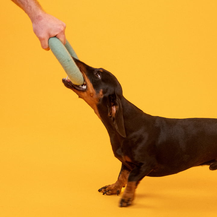 Fine Hundespielzeug, Ring, türkis von myfelt