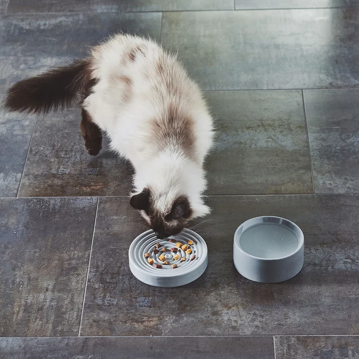 Piatto und Fresco Katzennapf S von MiaCara