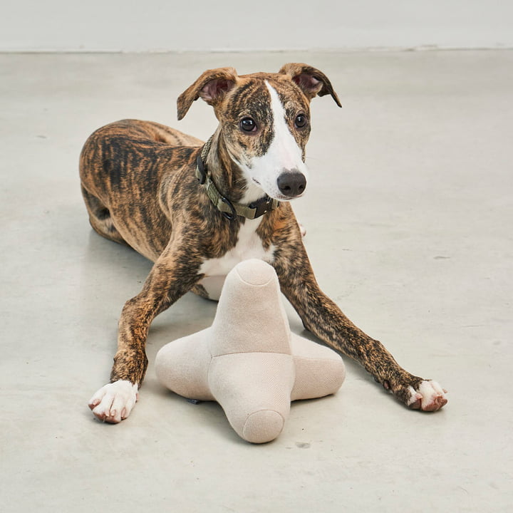 Quattro Hundespielzeug von MiaCara 