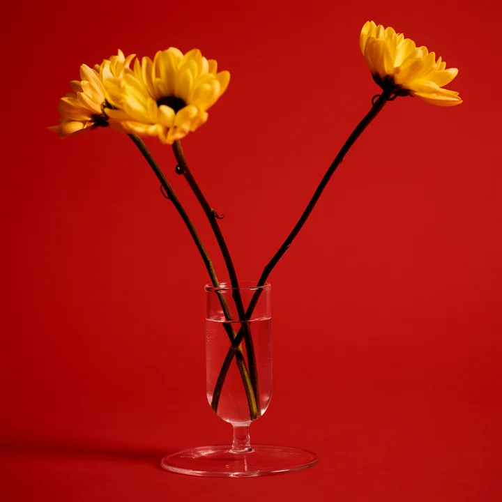 Tiny Vase Ø 7 x H 8.6 cm, klar von HAY