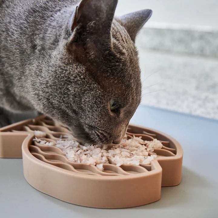 MiaCara - Pesce Beschäftigungsspielzeug für Katzen, nude