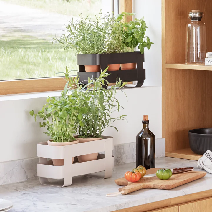 Herb Organiser mit Selbstbewässerung, sand und schwarz von Eva Solo