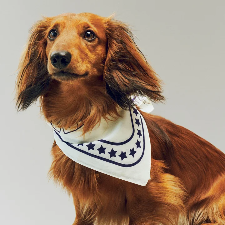 HAY - Dogs Hundetuch, recycelt, 55 x 55 cm, off-white / blau