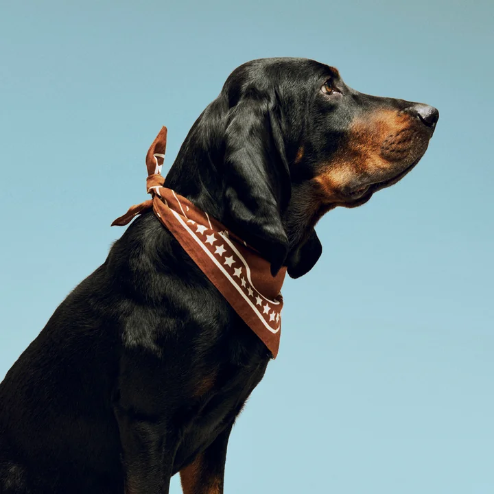 HAY - Dogs Hundetuch, recycelt, 55 x 55 cm, braun