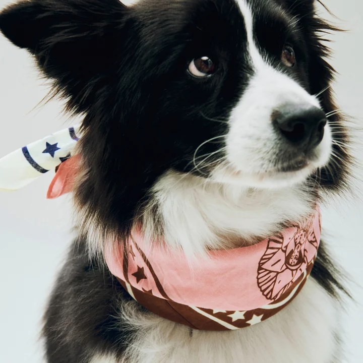 HAY - Dogs Hundetuch, recycelt, 55 x 55 cm, rosa