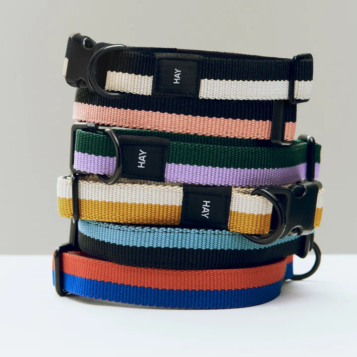HAY - Dogs Hundehalsbänder