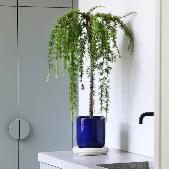 &klevering - Churros Blumentopf, Ø 24,5 x 25 cm, blau / weiß