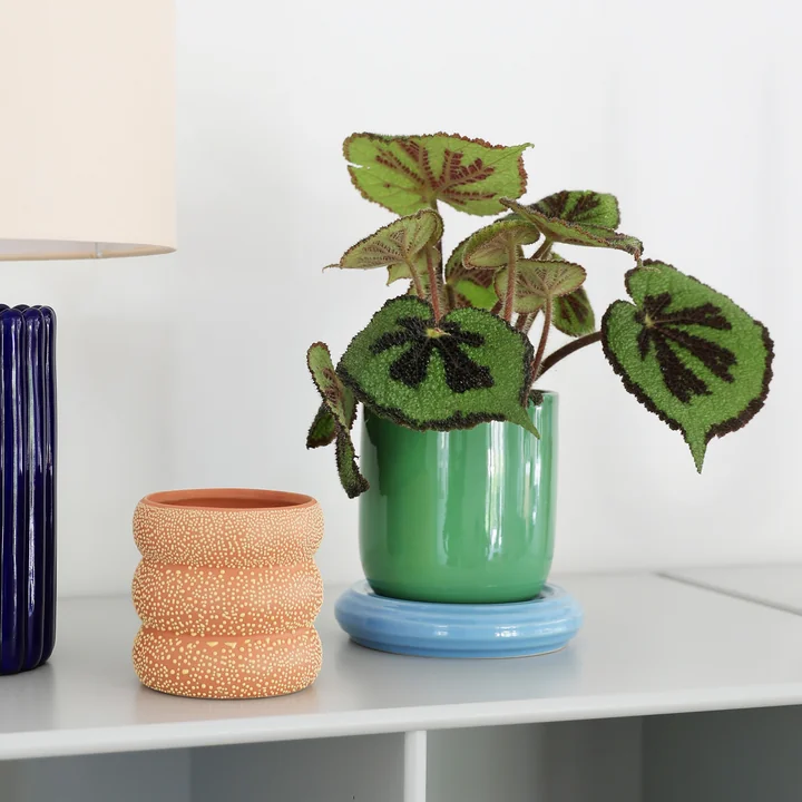 &klevering - Churros Blumentopf, Ø 14,5 x 15 cm, grün / blau