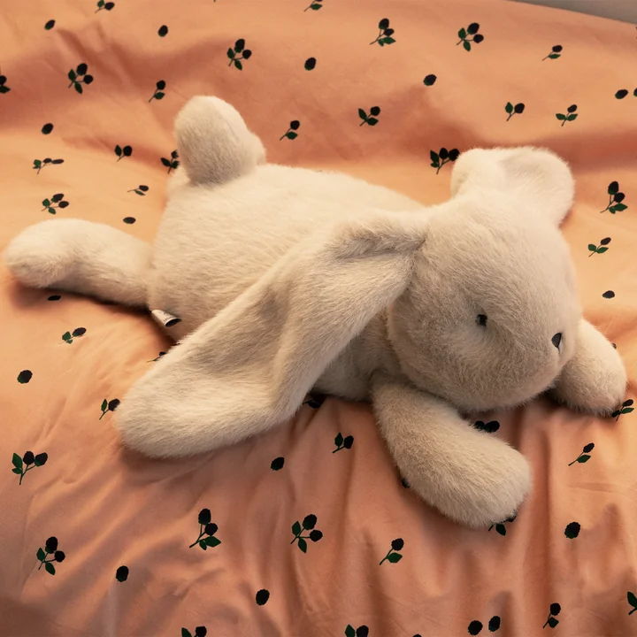LIEWOOD - Paulin Teddy Hase, mist