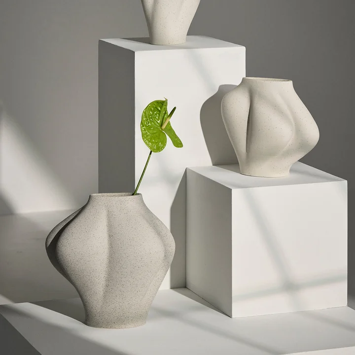 AYTM - Saltare Vasen