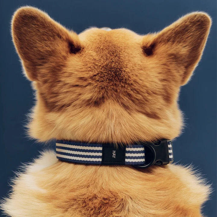 HAY - Dogs Hundehalsband, M/L, blau / weiße Streifen