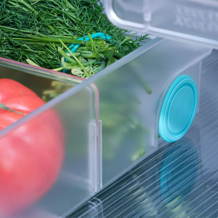 Joseph Joseph - FridgeStore Aufbewahrungsbehälter, Extragroß, transparent