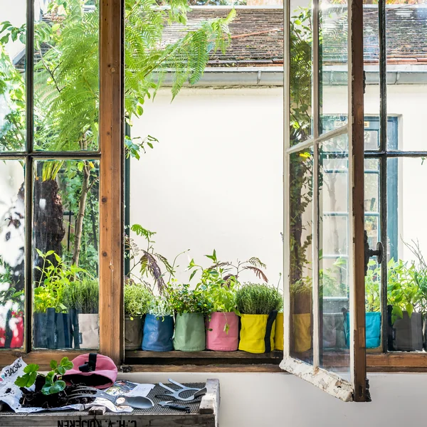 Pot Pflanztasche von Bacsac