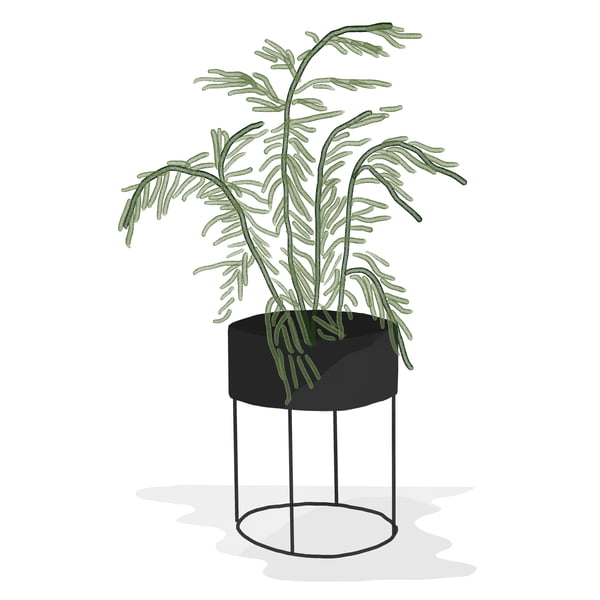 ferm Living _ Plant Box - rund - schwarz - Aquarell