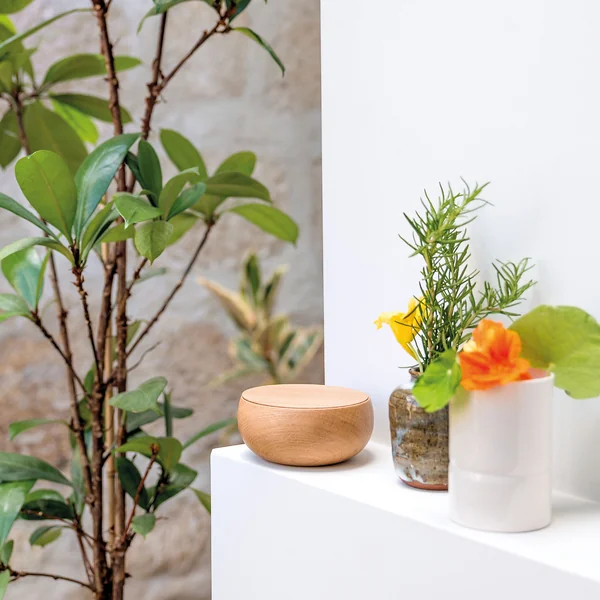 Die Bowl aus dem Hause Schönbuch